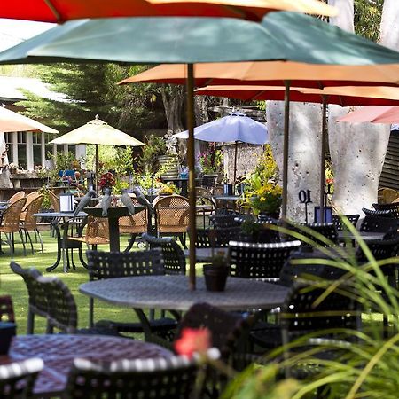 Oakdene Vineyards Guesthouse Wallington Εξωτερικό φωτογραφία